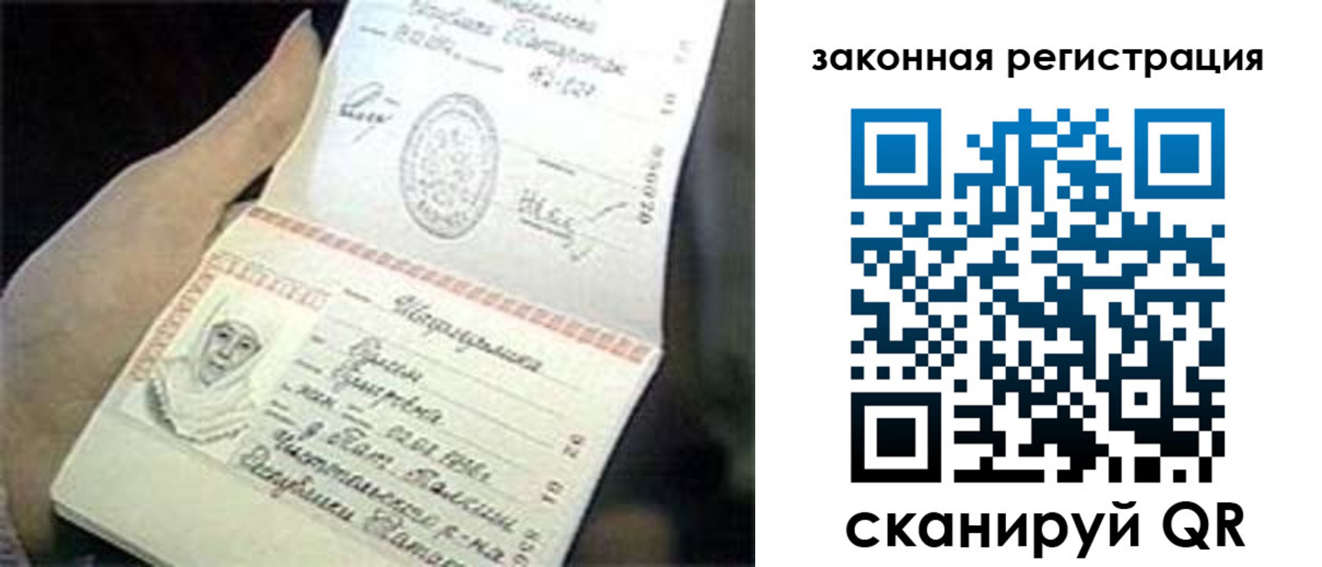 прописка для школы в Белгородской области